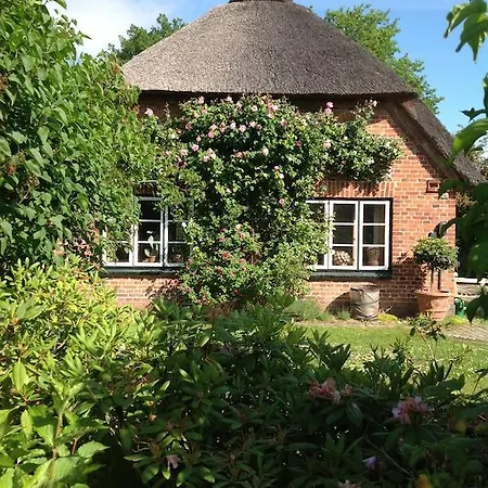 Apartman Reetdachhaus - Paulines Hoeft