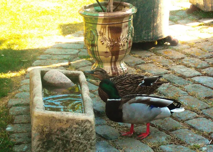 Reetdachhaus - Paulines Hoeft Grömitz