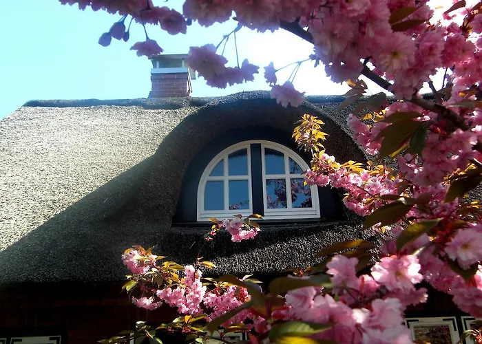 Appartement Reetdachhaus - Paulines Hoeft